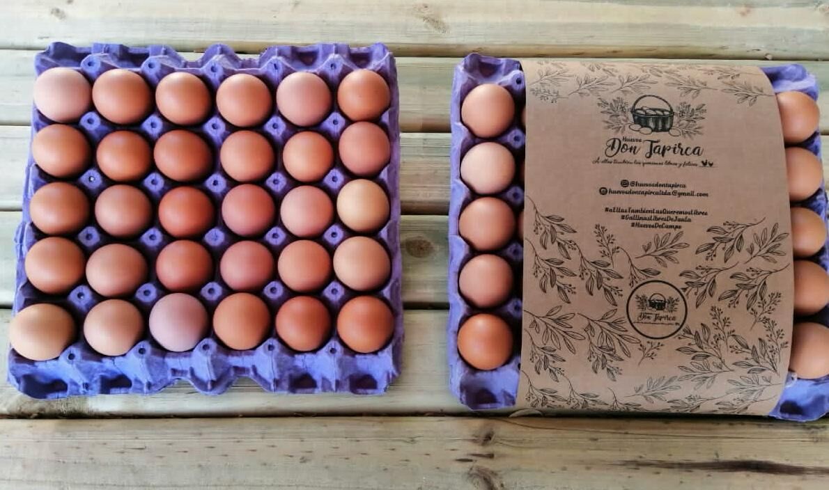 Bandejas de huevos Don Tapirca empacadas, listas para la venta